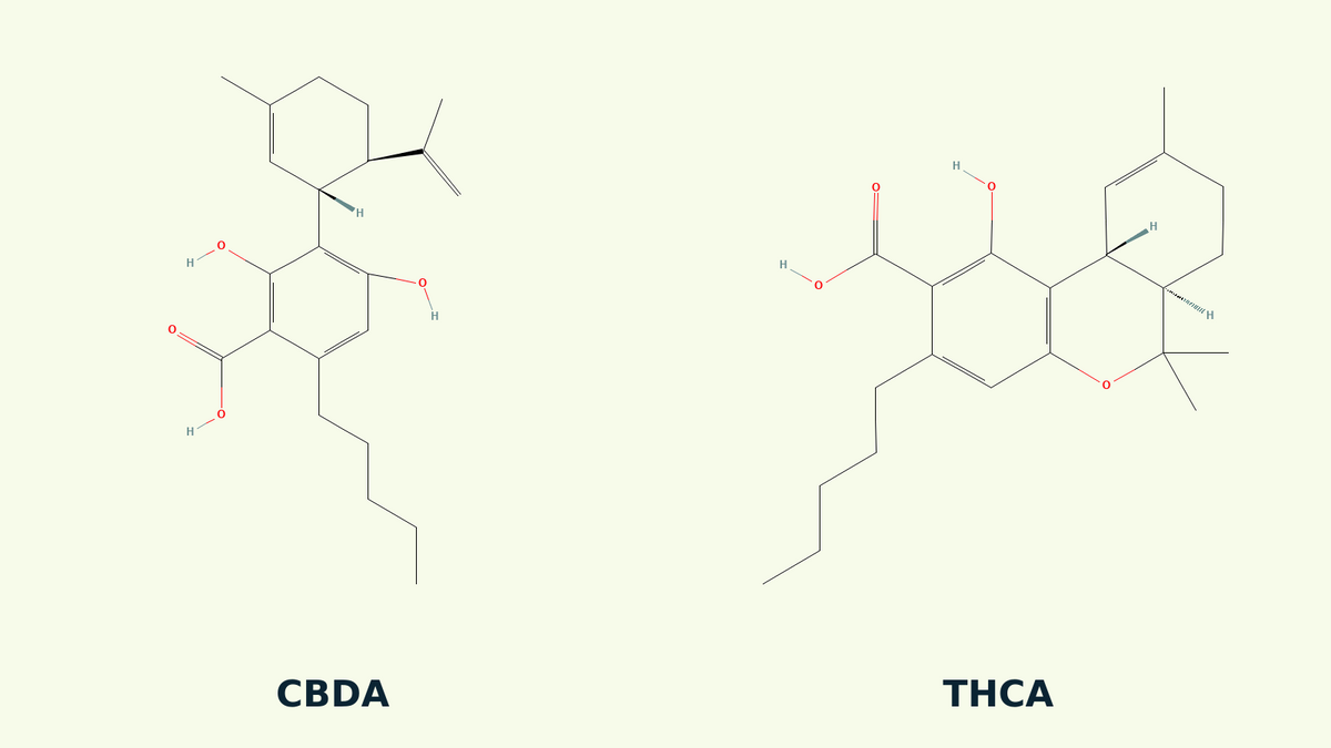 Estructuras químicas de CBDA y THCA